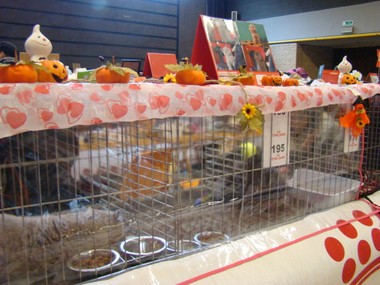 20111023_24 (expo)